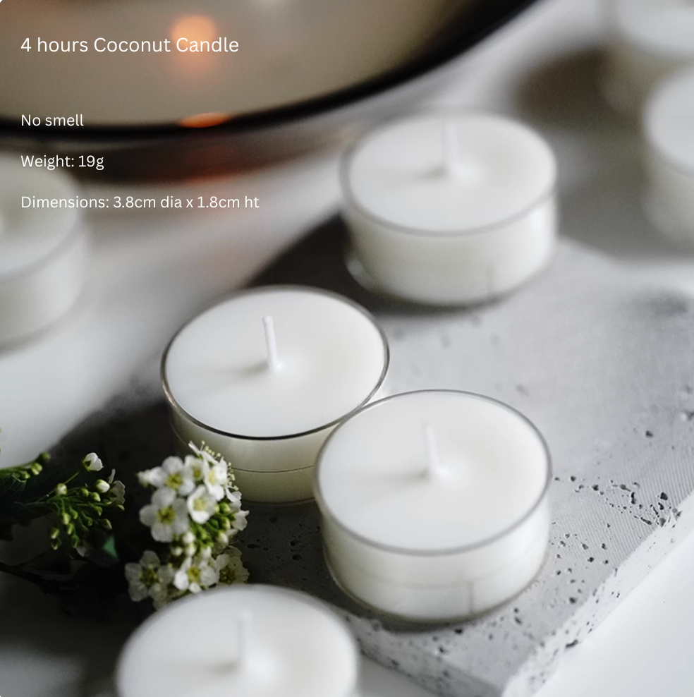 Plant Base Candle - Coconut