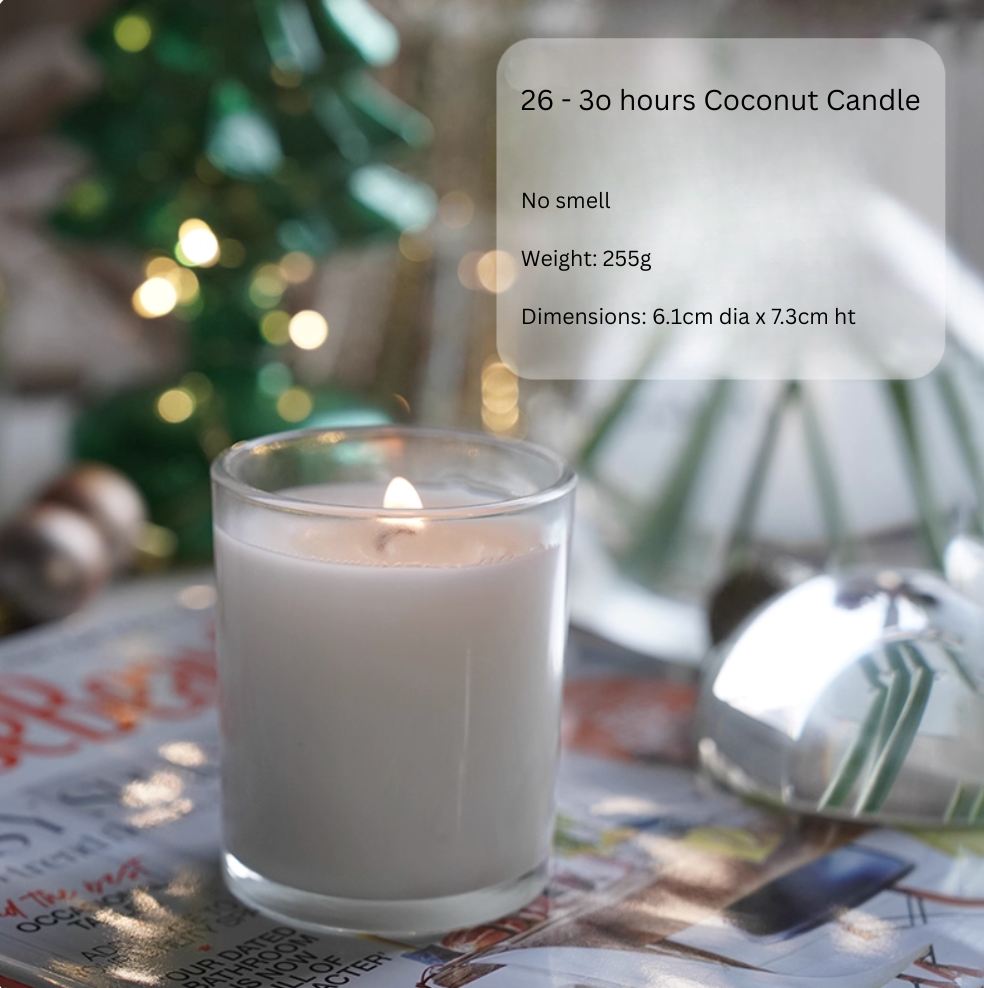 Plant Base Candle - Coconut