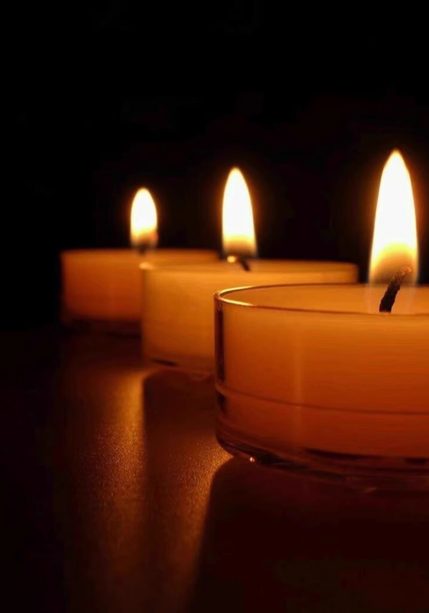 Plant Base Candle - Coconut
