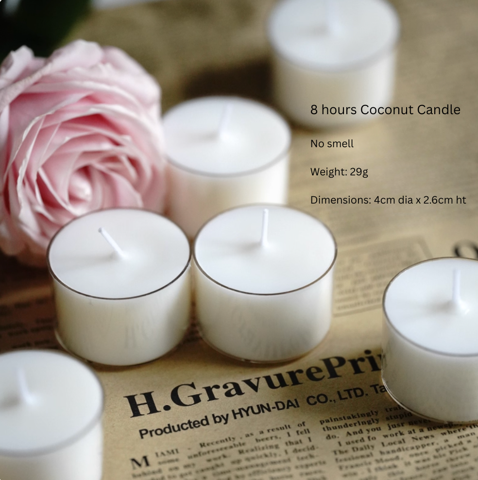 Plant Base Candle - Coconut