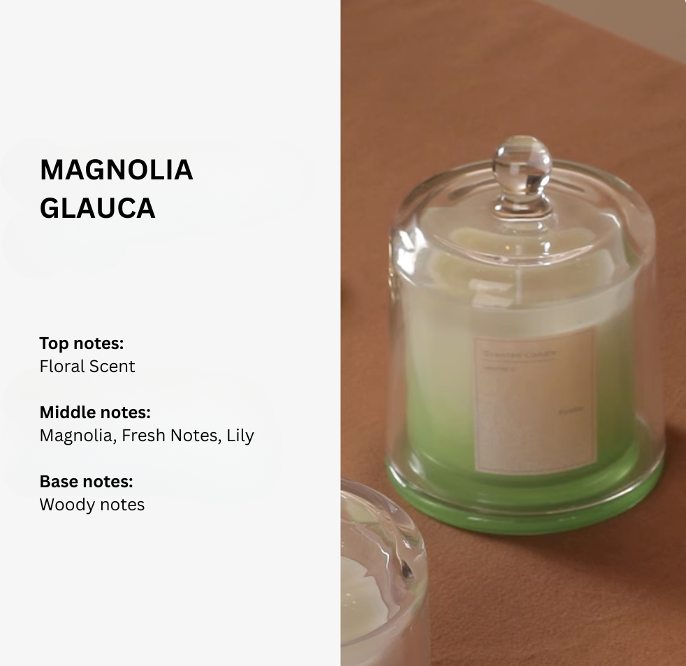 Plant Base Scented Candle - 3 Layered
