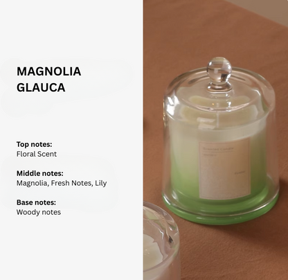 Plant Base Scented Candle - 3 Layered
