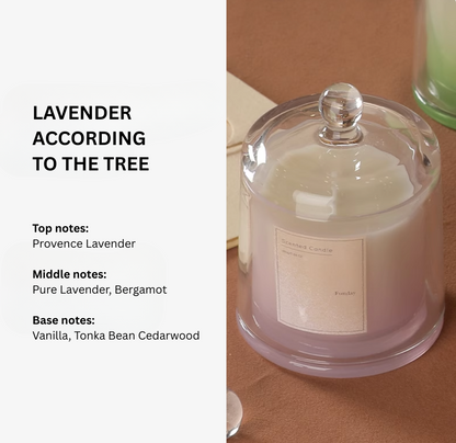 Plant Base Scented Candle - 3 Layered
