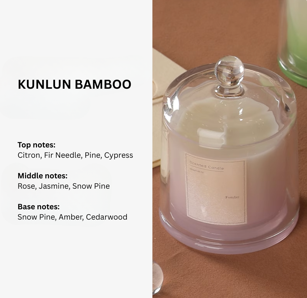 Plant Base Scented Candle - 3 Layered