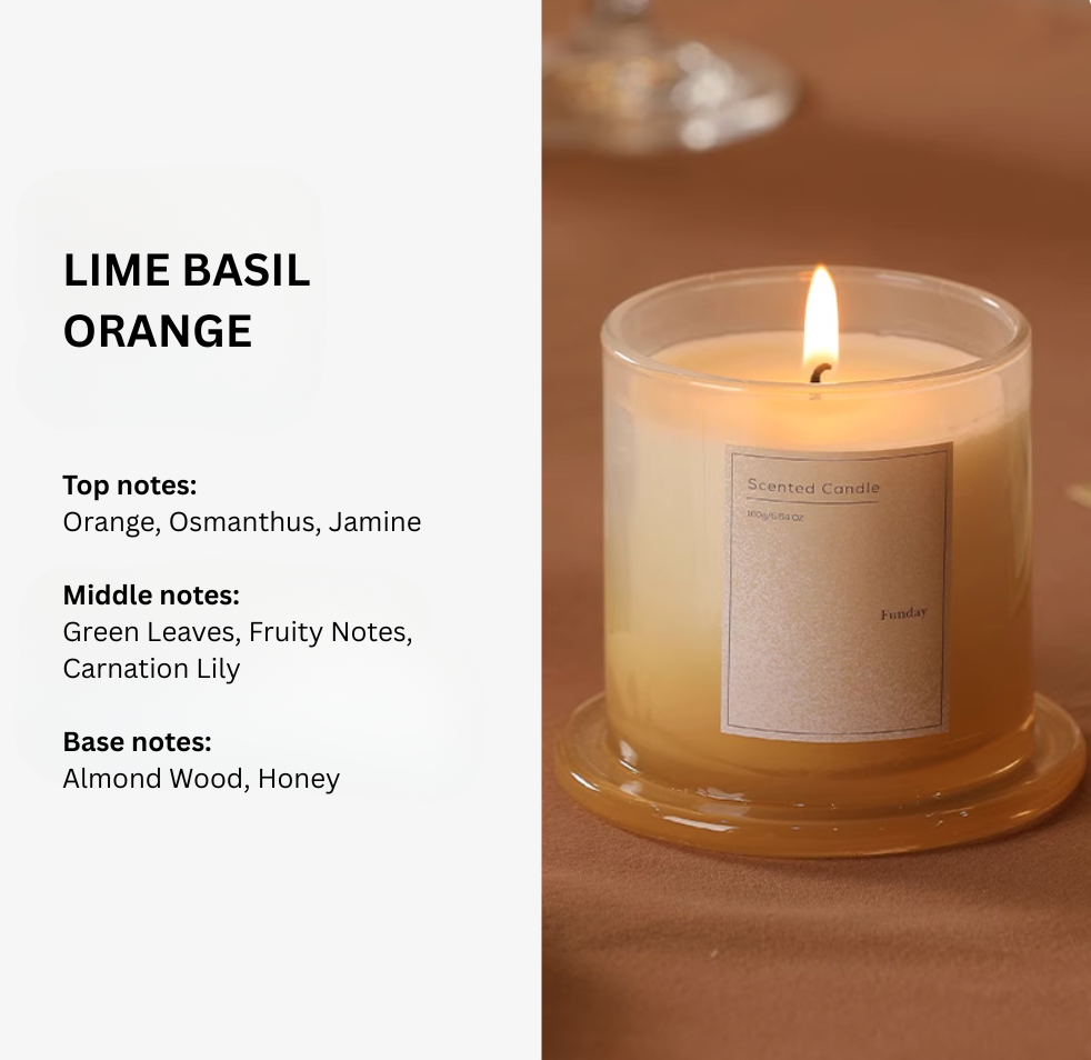 Plant Base Scented Candle - 3 Layered