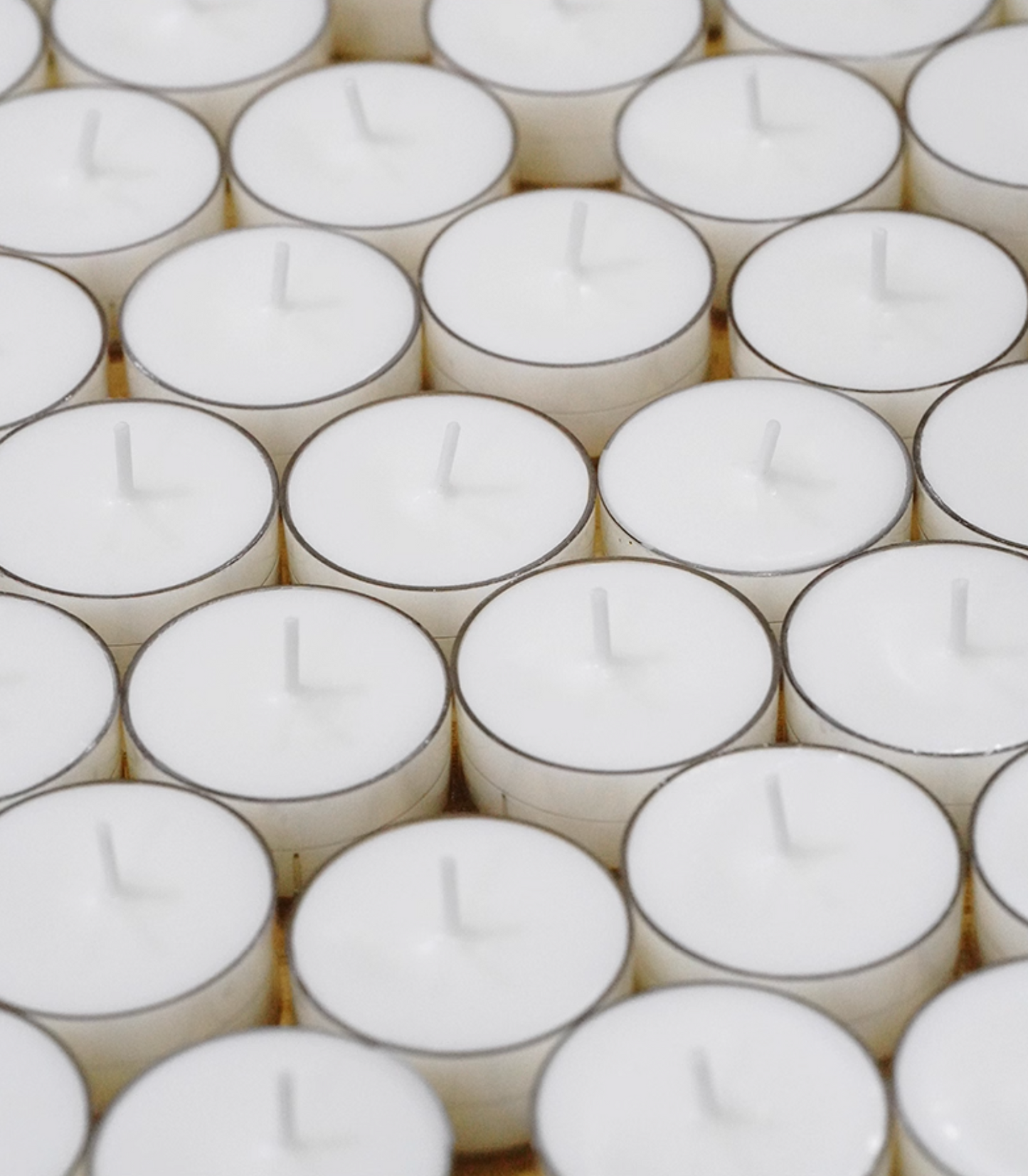 Plant Base Candle - Coconut