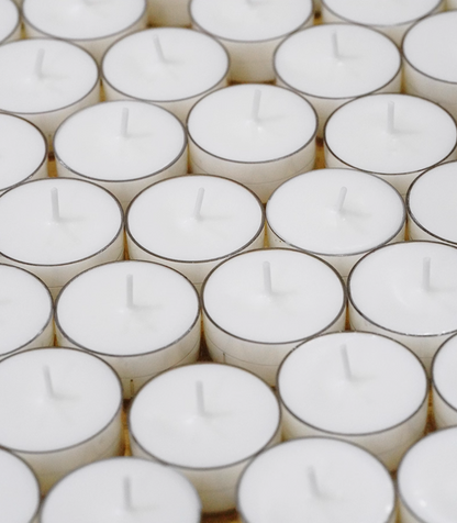 Plant Base Candle - Coconut