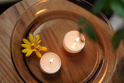 Plant Base Candle - Coconut