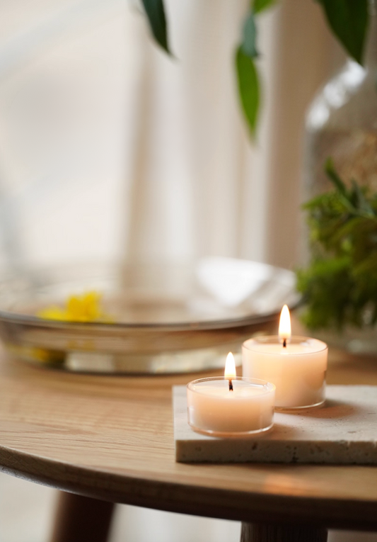 Plant Base Candle - Coconut
