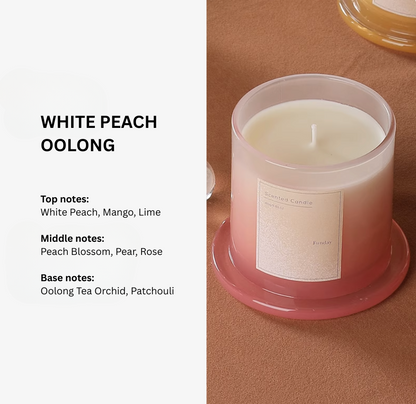 Plant Base Scented Candle - 3 Layered